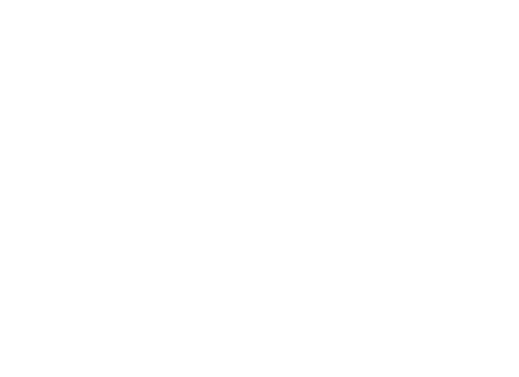 Vision Force